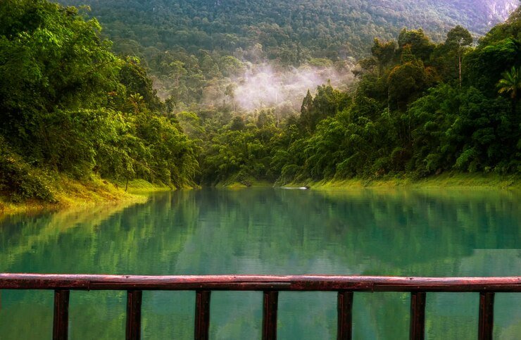 beautiful-natural-morning-sunlight-thailand_52075-113